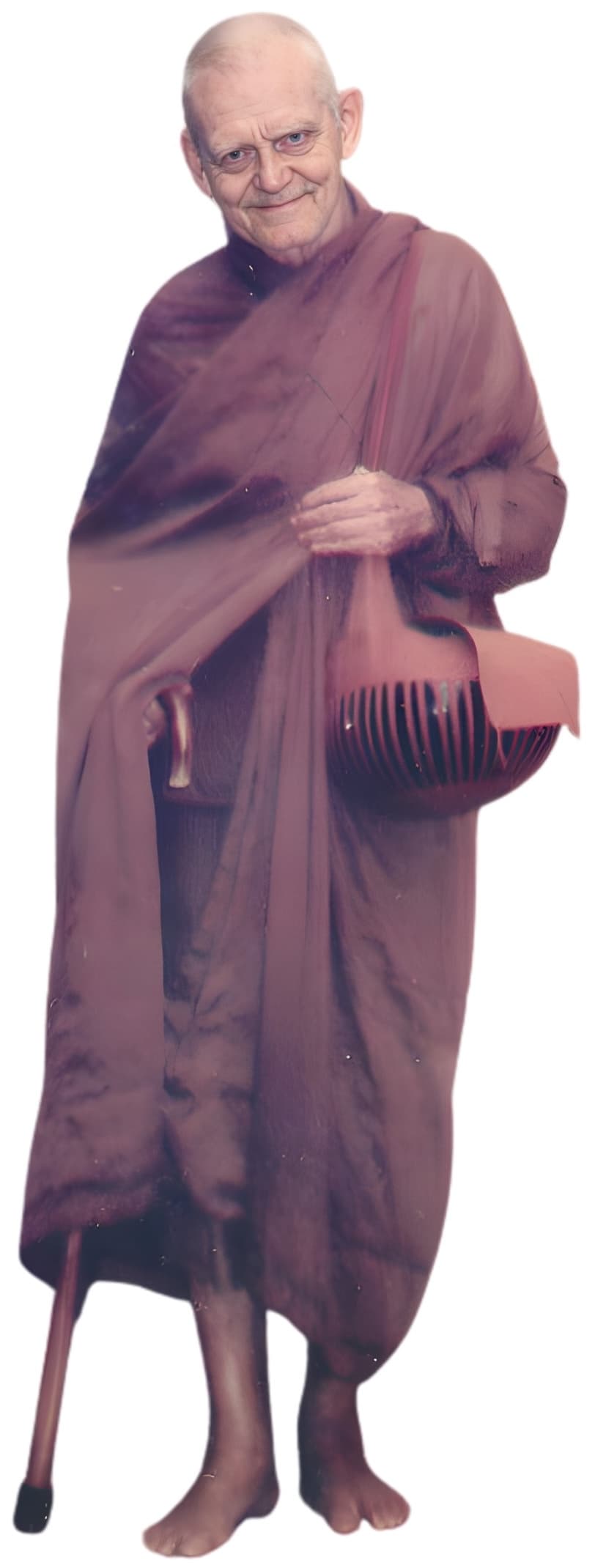 Venerable Ñāṇavimala Mahāthera